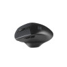 Natec Mouse, BlackBird 2, Silent, Wireless, 1600 DPI, Optical, Black | Natec | Mouse | Optical | Wireless | Black/Gray | BlackBi