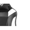 Fury Gaming Chair Fury Avenger M+ PU Leather | Black/White