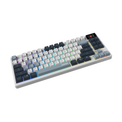 MSI FORGE GK600 TKL WIRELESS SKY | Gaming Keyboard | Wireless | US | Bluetooth | 2.4 GHz, Bluetooth, USB 2.0 | Mechanical Linear