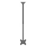 Neomounts CL35-340BL12 Monitor/TV mount Ceiling | Adjustable Height, Rotate, Tilt, Swivel | 23-42 " | Maximum weight (capacity) 