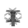 Neomounts CL35-340BL22 Dual Monitor/TV Mount Ceiling | Adjustable Height, Rotate, Tilt, Swivel | 23-42 " | Maximum weight (capac