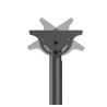 Neomounts CL35-340BL22 Dual Monitor/TV Mount Ceiling | Adjustable Height, Rotate, Tilt, Swivel | 23-42 " | Maximum weight (capac