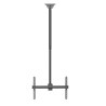 Neomounts CL35-440BL16L Monitor/TV Mount Ceiling | Adjustable Height, Rotate, Tilt, Swivel | 37-70 " | Maximum weight (capacity)