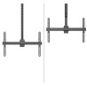 Neomounts CL35-440BL16L Monitor/TV Mount Ceiling | Adjustable Height, Rotate, Tilt, Swivel | 37-70 " | Maximum weight (capacity)