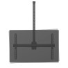 Neomounts CL35-440BL16XL Monitor/TV Mount Ceiling | Adjustable Height, Rotate, Tilt, Swivel | 37-70 " | Maximum weight (capacity