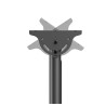 Neomounts CL35-440BL16XL Monitor/TV Mount Ceiling | Adjustable Height, Rotate, Tilt, Swivel | 37-70 " | Maximum weight (capacity