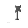 Neomounts Desk Mount | DS42-430BL12 TV stand | Swivel | 23-43 " | Maximum weight (capacity) 50 kg | Black