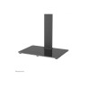 Neomounts Desk Mount | DS45-430BL14 TV stand | Adjustable Height, Swivel | 32-55 " | Maximum weight (capacity) 40 kg | Black