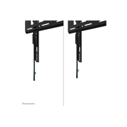 Neomounts Wall mount | WL30-750BL14 Heavy duty wall mount | Adjustable Height | 32-75 " | Maximum weight (capacity) 100 kg | Bla