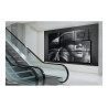 Neomounts Wall mount | WL95-800BL1 Videowall wall mount | 42-70 " | Maximum weight (capacity) 35 kg | Black