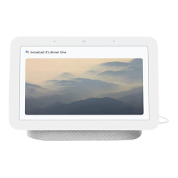 google | Nest Hub 2nd Generation | GA01331-IT | 7 " | Chalk | Wi-Fi | Bluetooth