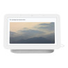 google | Nest Hub 2nd Generation | GA01331-IT | 7 " | Chalk | Wi-Fi | Bluetooth