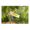 Brother | TZe-621 Laminated Tape | Black on Yellow | TZe | 8 m | 9 cm