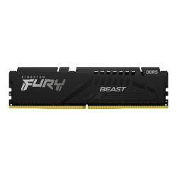 Kingston | Fury Beast | 64 GB | DDR5 | 5600 MHz | PC/server | Registered No | ECC No