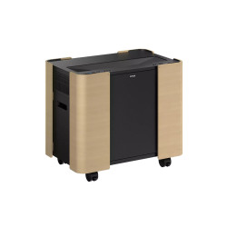 Epson Mobile A/V Cabinet | ELPCS01