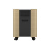 Epson Mobile A/V Cabinet | ELPCS01