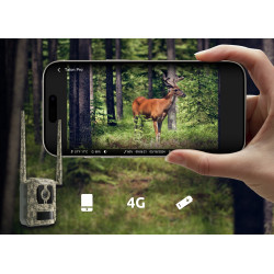 Reolink | 4K 4G Cellular Trail Camera with Live Streaming | Talon Series S130 | Trail | 8 MP | 4mm/F1.6 | IP67 | H.265 | MicroSD