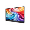 Acer PM161Q B1bmiuux | 15.6 " | IPS | FHD | 16:9 | 60 Hz | 4 ms | 1920 x 1080 pixels | 250 cd/m | HDMI ports quantity 1 | Black 
