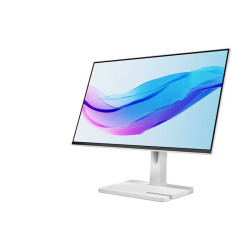 Lenovo L24m-4A | 23.8 " | IPS | FHD | 16:9 | 100 Hz | 1 ms | 1920 x 1080 pixels | 250 cd/m | HDMI ports quantity 1 | Cloud Grey 