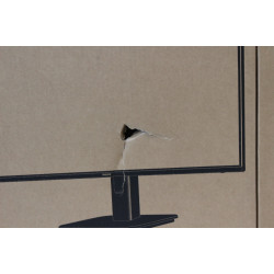 SALE OUT. Philips 24E1N1100A/00 23.8'' 16:9/1920x1080/250cd/m2/HDMI VGA DAMAGED PACKAGING | Philips | 24E1N1100A/00 | 24 " | IPS