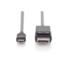 Digitus | USB Type-C adapter cable | AK-300333-020-S | USB-C | DisplayPort | USB-C to DP | 2 m