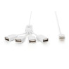 Digitus | USB 2.0 Cable Hub, 4-Port 4x USB A/F, 1x USB A male, DC2.5mm (PSU not incl.) | DA-70216