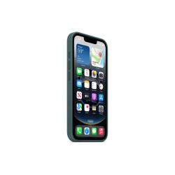 Apple iPhone 16e Silicone Case Lake Green | Apple
