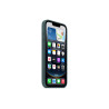 Apple iPhone 16e Silicone Case Lake Green | Apple
