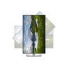 Dell P2425DE | 24 " | IPS | 16:9 | 100 Hz | 5 ms | 2560 x 1440 pixels | 350 cd/m | HDMI ports quantity 1