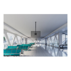 Neomounts CL35-340BL22 Dual Monitor/TV Mount Ceiling | Adjustable Height, Rotate, Tilt, Swivel | 23-42 " | Maximum weight (capac