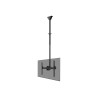 Neomounts CL35-440BL16L Monitor/TV Mount Ceiling | Adjustable Height, Rotate, Tilt, Swivel | 37-70 " | Maximum weight (capacity)