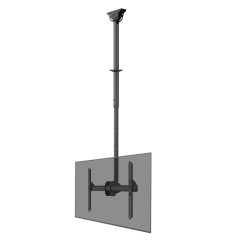 Neomounts CL35-440BL16L Monitor/TV Mount Ceiling | Adjustable Height, Rotate, Tilt, Swivel | 37-70 " | Maximum weight (capacity)