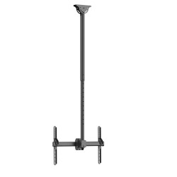 Neomounts CL35-440BL16L Monitor/TV Mount Ceiling | Adjustable Height, Rotate, Tilt, Swivel | 37-70 " | Maximum weight (capacity)