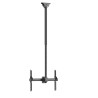 Neomounts CL35-440BL16L Monitor/TV Mount Ceiling | Adjustable Height, Rotate, Tilt, Swivel | 37-70 " | Maximum weight (capacity)