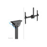 Neomounts CL35-440BL16L Monitor/TV Mount Ceiling | Adjustable Height, Rotate, Tilt, Swivel | 37-70 " | Maximum weight (capacity)