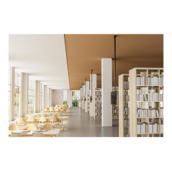 Neomounts CL35-440BL16XL Monitor/TV Mount Ceiling | Adjustable Height, Rotate, Tilt, Swivel | 37-70 " | Maximum weight (capacity