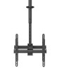 Neomounts NM-C440DBLACK Dual monitor/TV mount ceiling | Adjustable Height, Rotate, Tilt, Swivel | 32-60 " | Maximum weight (capa