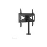 Neomounts Desk Mount | DS42-430BL14 TV stand | Swivel | 32-55 " | Maximum weight (capacity) 50 kg | Black