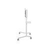 Neomounts Floor stand | NS-M1250WHITE TV trolley | Rotate, Tilt | 37-70 " | Maximum weight (capacity) 70 kg | White