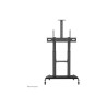 Neomounts Floor stand | PLASMA-M1950E TV trolley | Adjustable Height, Tilt | 60-100 " | Maximum weight (capacity) 100 kg | Black