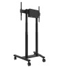 Neomounts Floor stand | FL55-875BL1 TV trolley | Adjustable Height | 55-100 " | Maximum weight (capacity) 110 kg | Black