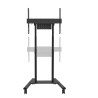 Neomounts Floor stand | FL55-875BL1 TV trolley | Adjustable Height | 55-100 " | Maximum weight (capacity) 110 kg | Black
