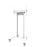 Neomounts Floor stand | FL55-875WH1 TV trolley | Adjustable Height | 55-100 " | Maximum weight (capacity) 110 kg | White