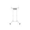 Neomounts Floor stand | FL55-875WH1 TV trolley | Adjustable Height | 55-100 " | Maximum weight (capacity) 110 kg | White
