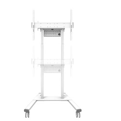 Neomounts Floor stand | FL55-875WH1 TV trolley | Adjustable Height | 55-100 " | Maximum weight (capacity) 110 kg | White