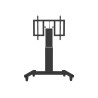 Neomounts Floor stand | PLASMA-M2500TBLACK TV trolley | Adjustable Height, Tilt | 42-100 " | Maximum weight (capacity) 150 kg | 