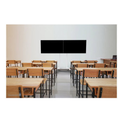 Neomounts Floor stand | ADM-875WH2 Dual screen adapter | Adjustable Height | 42-65 " | Maximum weight (capacity) 40 kg | White