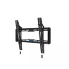 Neomounts Wall mount | WL35-550BL14 TV mount wall | Tilt | 32-75 " | Maximum weight (capacity) 50 kg | Black
