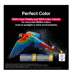 LG OLED55C51LA | 55 | Smart TV | webOS 25 | UHD