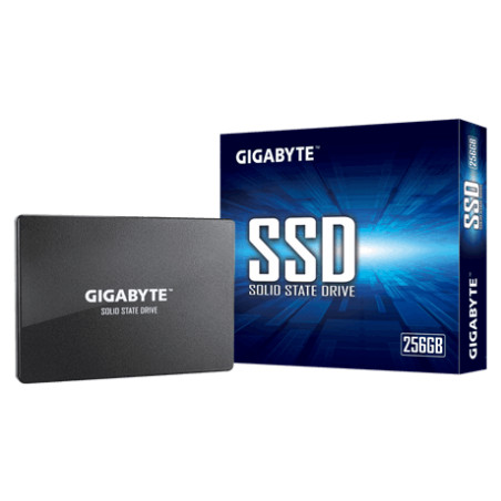 Gigabyte | GP-GSTFS31256GTND | 256 GB | Solid-state drive interface SATA | Read speed 520 MB/s | Write speed 500 MB/s